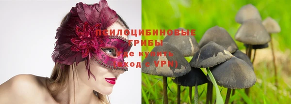 спиды Алексеевка