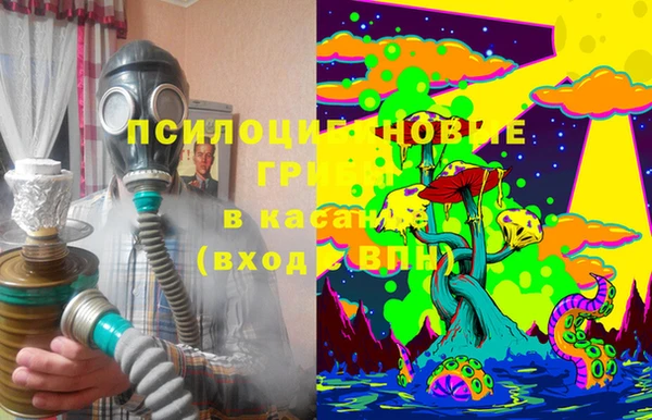 спиды Алексеевка