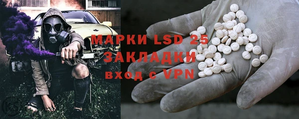 прущие грибы Алзамай