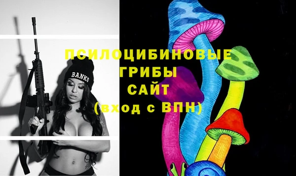 экстази Алексин
