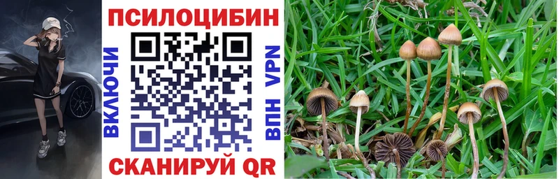 Псилоцибиновые грибы GOLDEN TEACHER  Обнинск 