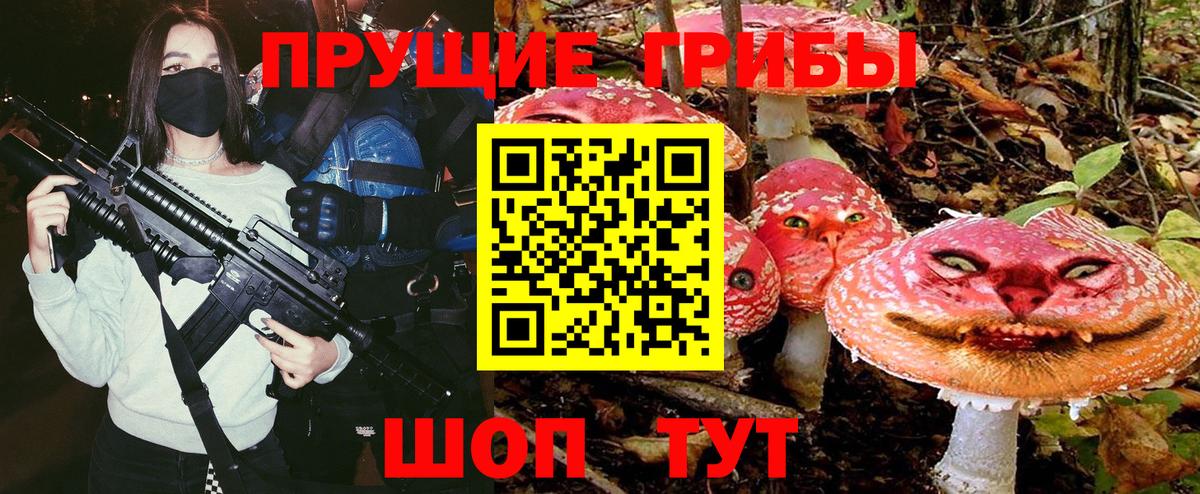 Псилоцибиновые грибы мицелий Обнинск