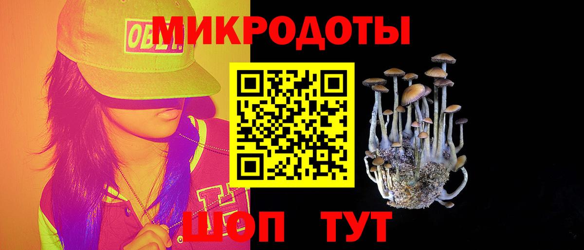 Галлюциногенные грибы прущие грибы  Вход с VPN  Обнинск 
